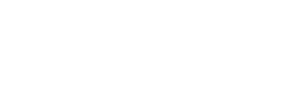 American Amicable